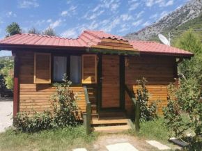 Eden Garden Olive House